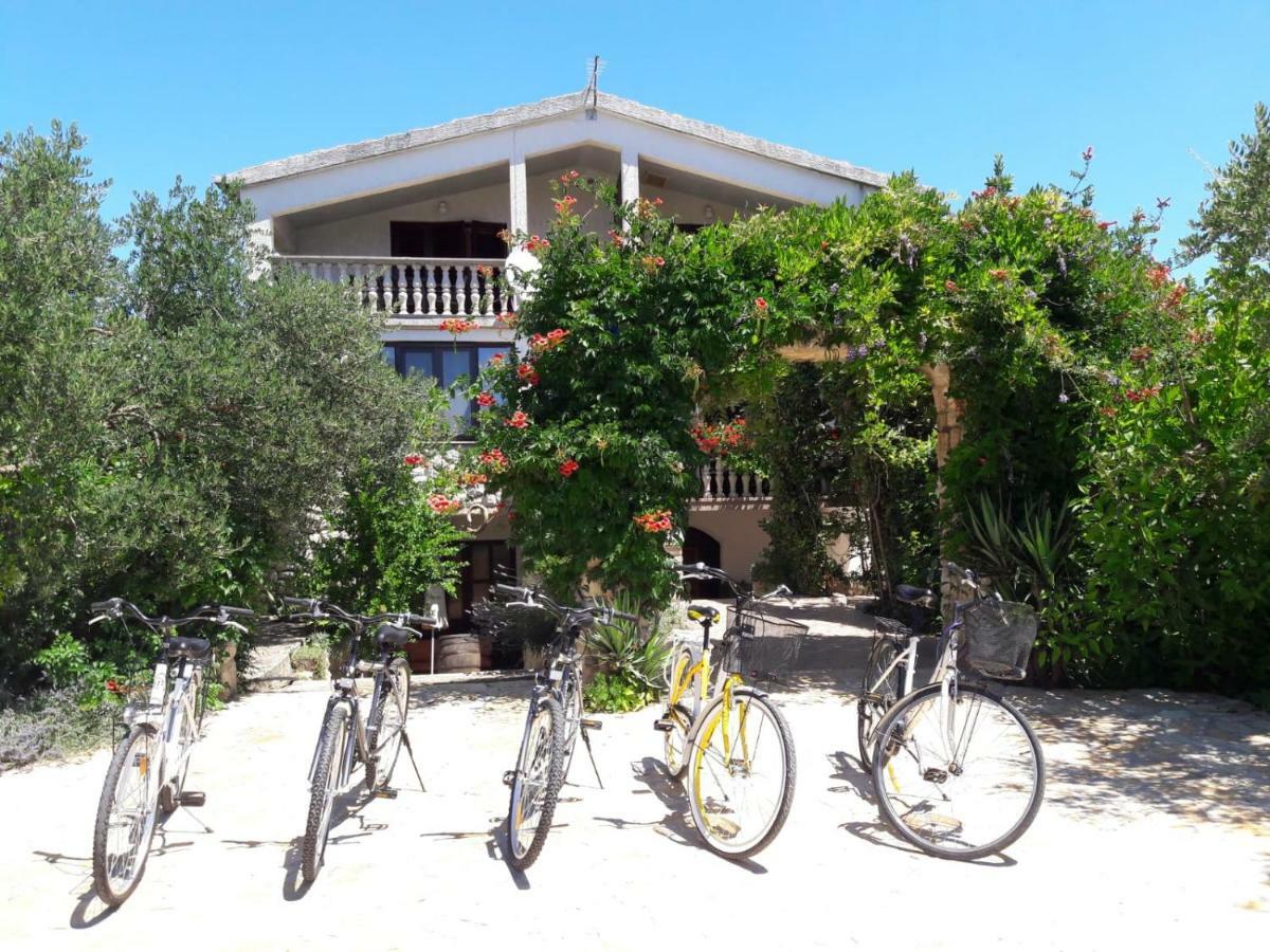 Apartments Marinka Biograd Na Moru Esterno foto
